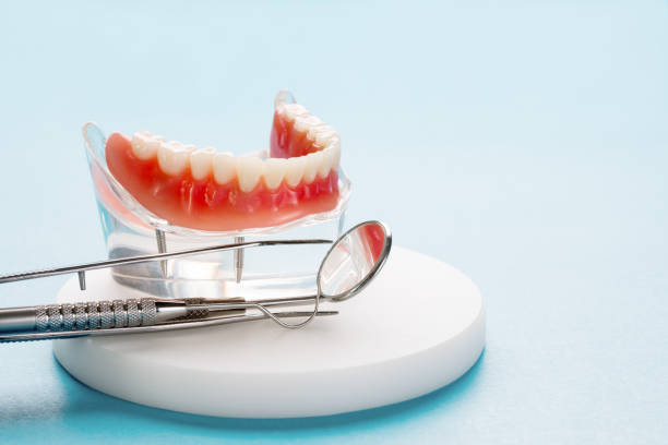 Trusted Audubon Park, KY Dental Services Experts